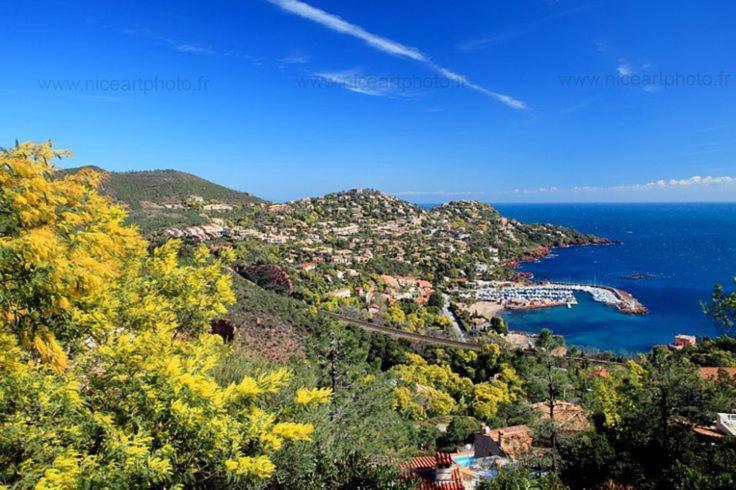Studio 4P Vue Mer Calme Cap Esterel Сен-Рафаель Екстер'єр фото
